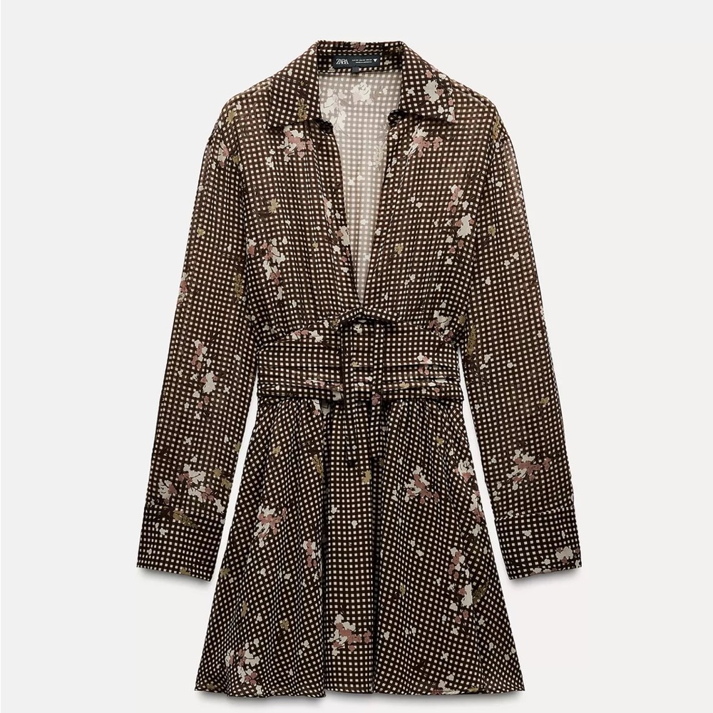 Zara Fall Blouse Mini Dress